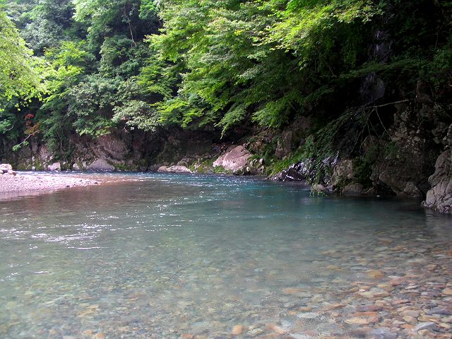 十津川・上湯川本流