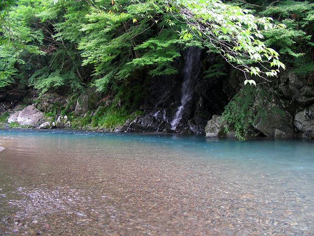 十津川・上湯川本流