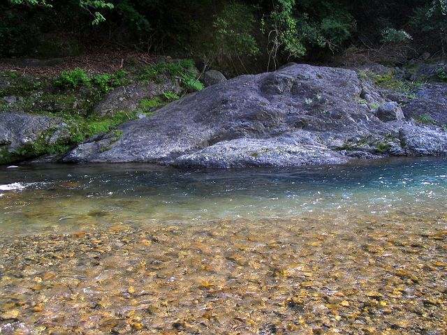 十津川・神納川本流