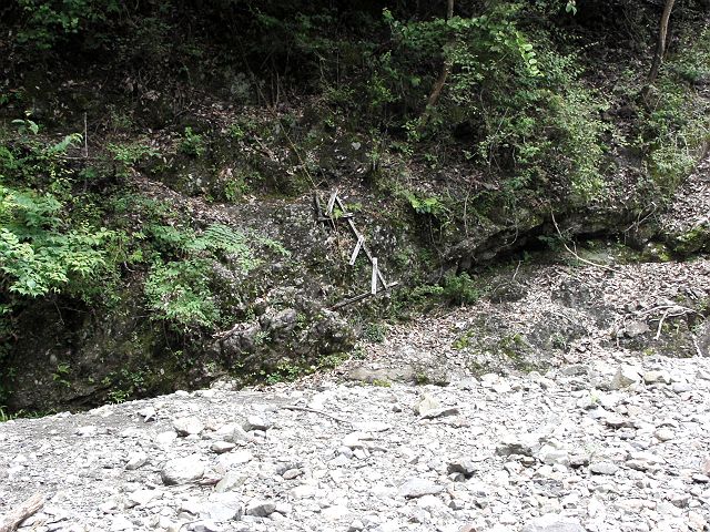 十津川・神納川本流