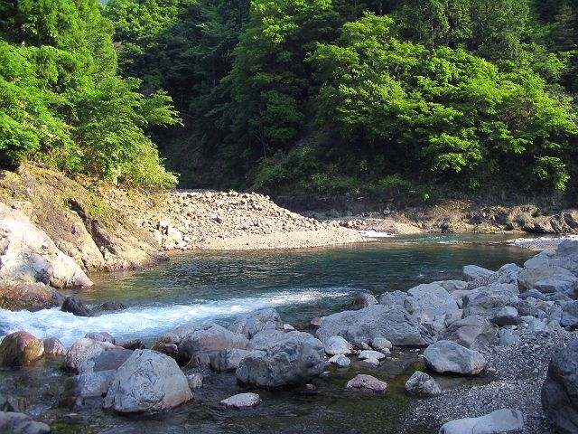 十津川・神納川本流