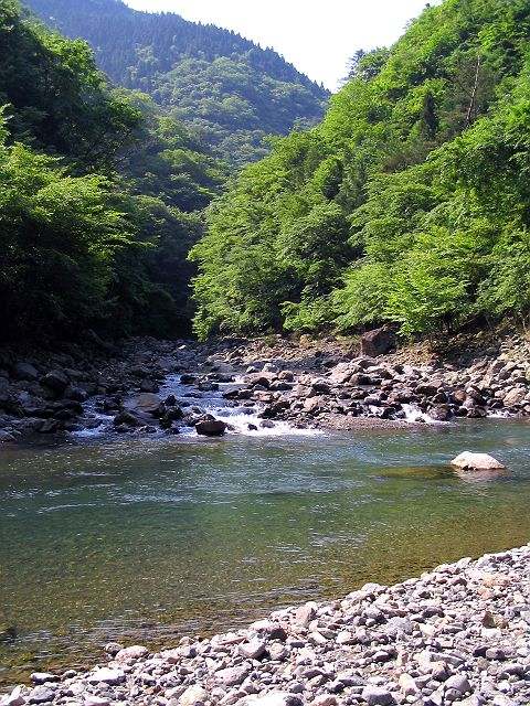 十津川・神納川本流