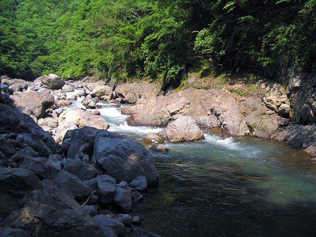 十津川・神納川本流