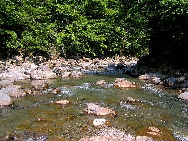 十津川・神納川本流