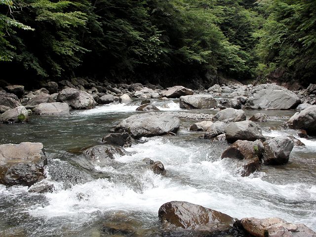 十津川・神納川本流