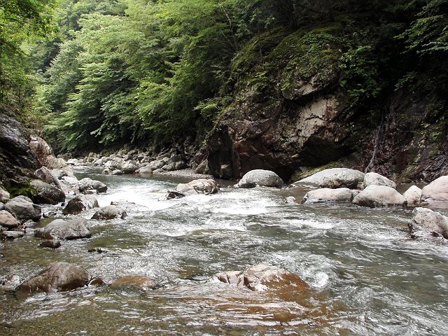 十津川・神納川本流