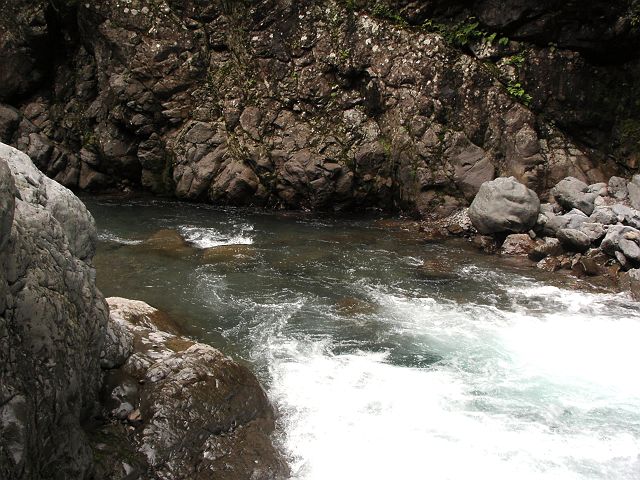 十津川・神納川本流