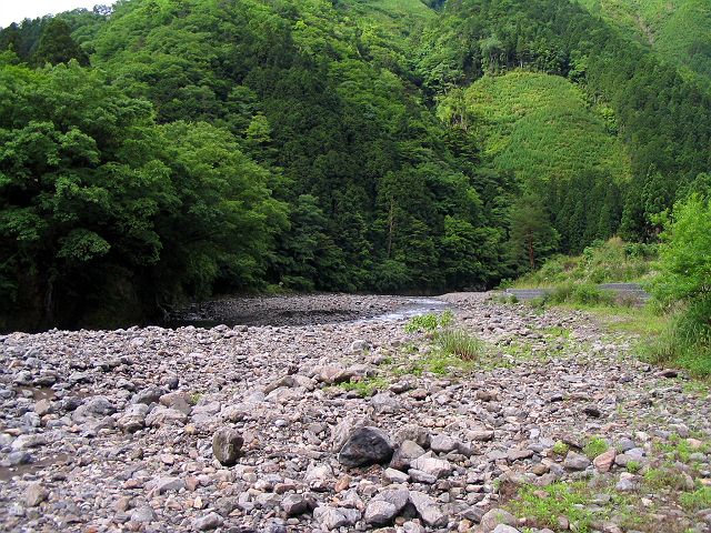 十津川・神納川本流