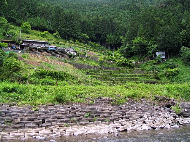 十津川・神納川本流