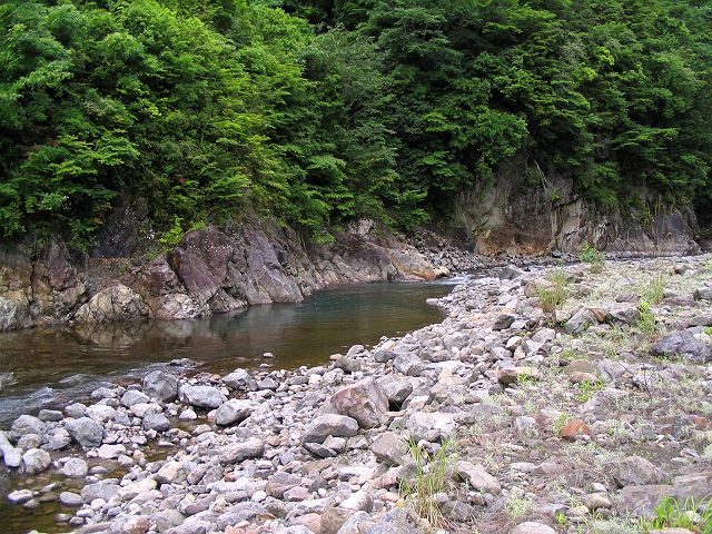 十津川・神納川本流