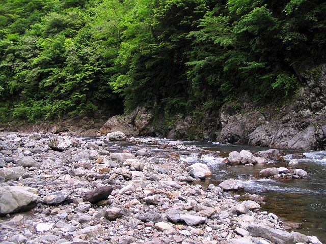 十津川・神納川本流