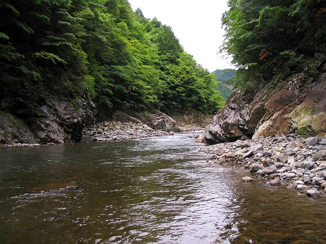 十津川・神納川本流