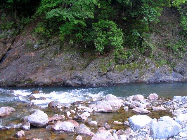 十津川・神納川本流