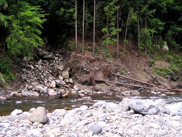 十津川・神納川本流