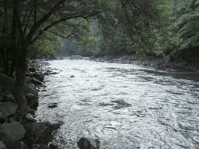 十津川・神納川本流