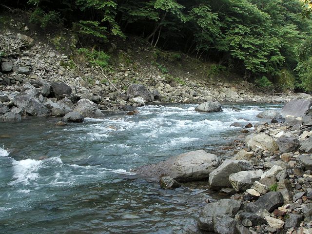 十津川・神納川本流