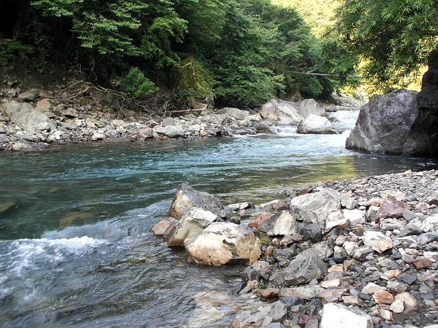 十津川・神納川本流