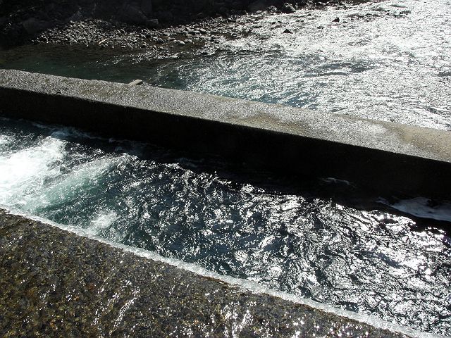 十津川・神納川本流