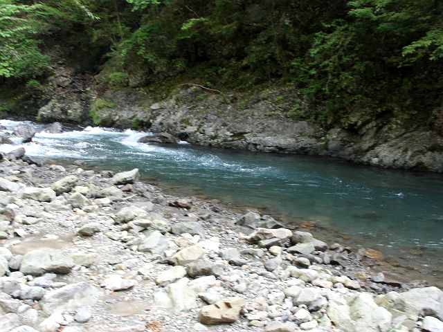 十津川・神納川本流