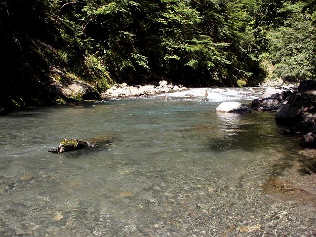 十津川・神納川本流