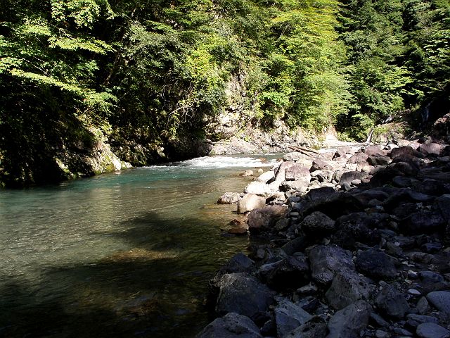 十津川・神納川本流