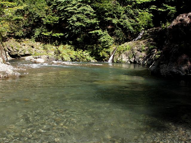 十津川・神納川本流