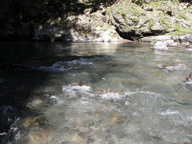 十津川・神納川本流