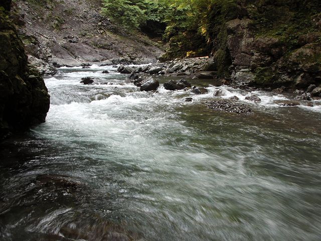 十津川・神納川本流