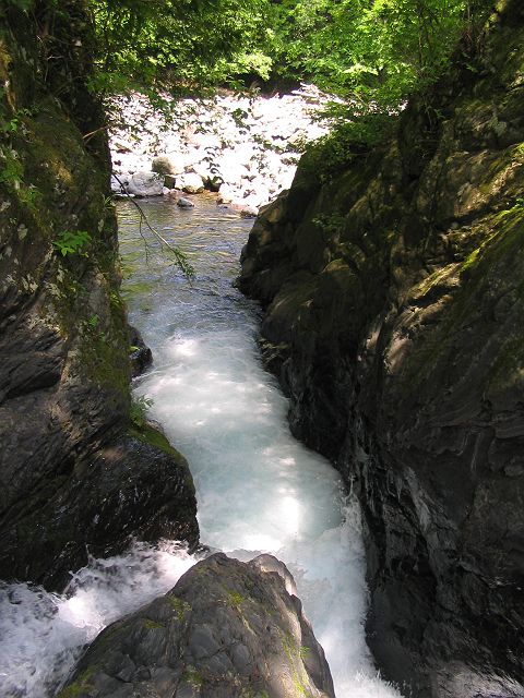 十津川・神納川支流・小井谷