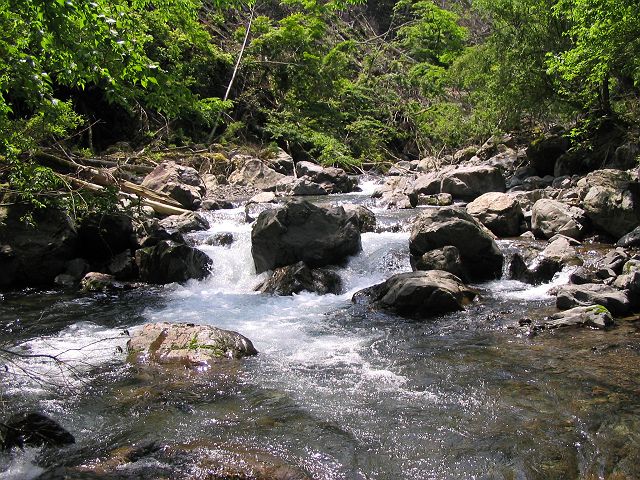 十津川・神納川支流・小井谷