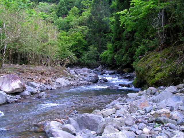 十津川・神納川支流・小井谷