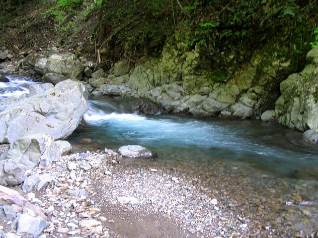 十津川・神納川支流・小井谷