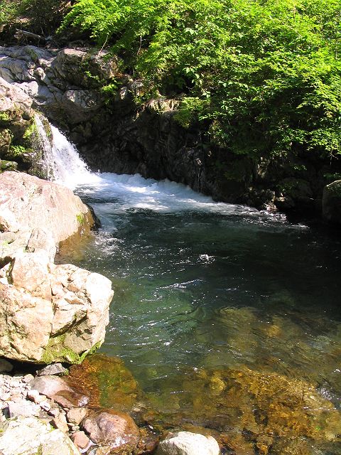 十津川・神納川支流・小井谷