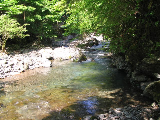 十津川・神納川支流・小井谷