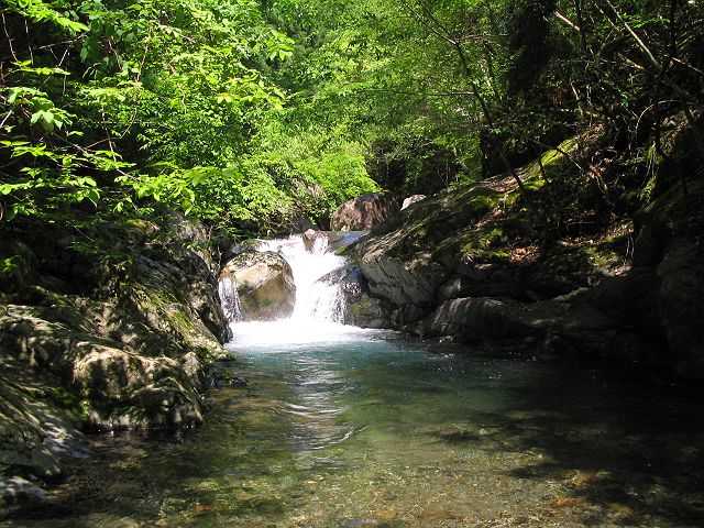 十津川・神納川支流・小井谷