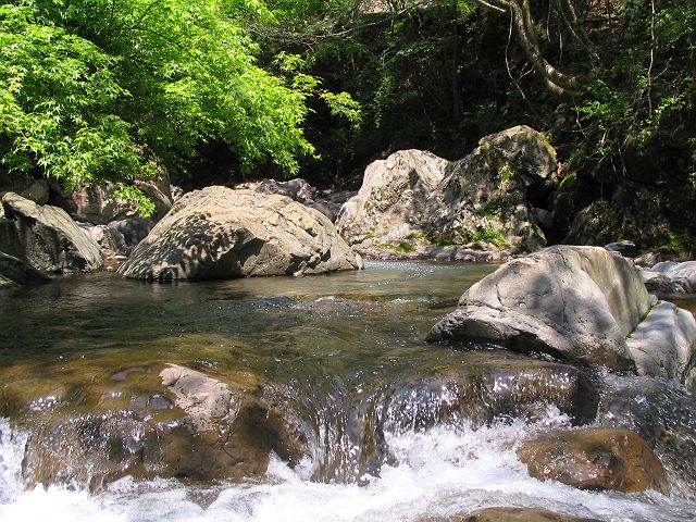 十津川・神納川支流・小井谷