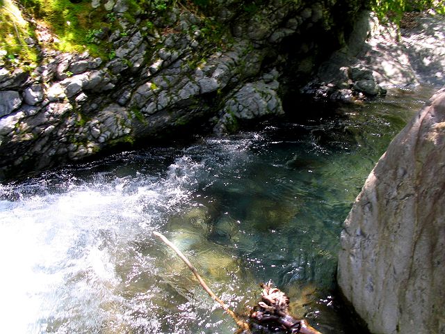 十津川・神納川支流・小井谷