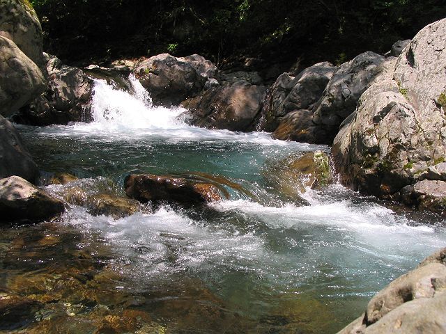 十津川・神納川支流・小井谷