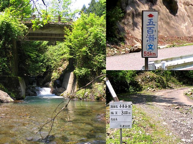 十津川・神納川支流・小井谷