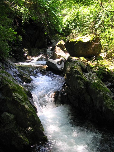 十津川・神納川支流・小井谷