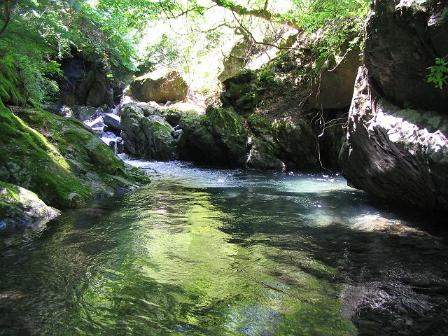 十津川・神納川支流・小井谷