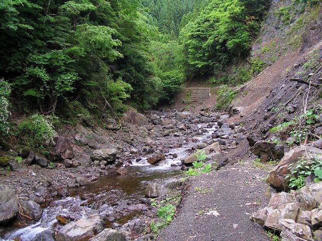 十津川・神納川支流・小井谷