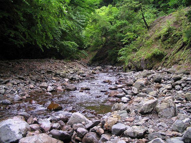 十津川・神納川支流・小井谷