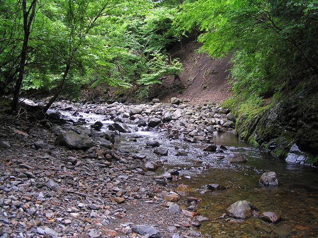 十津川・神納川支流・小井谷