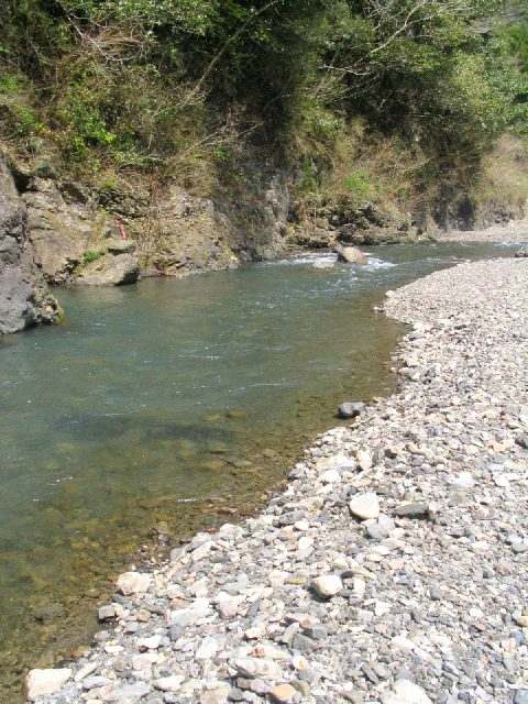 十津川・西川本流