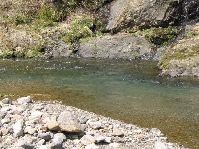 十津川・西川本流