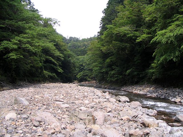 十津川・西川本流