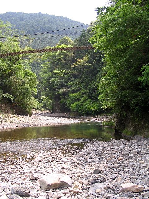 十津川・西川本流