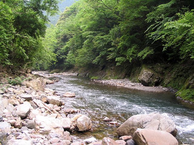 十津川・西川本流