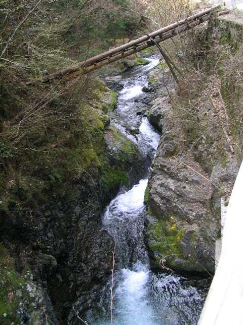 十津川・西川本流